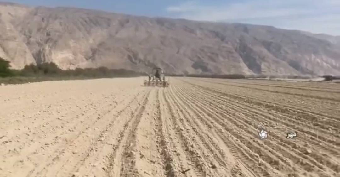 آغاز کشت چغندرقند پاییزه در شهرستان مهر