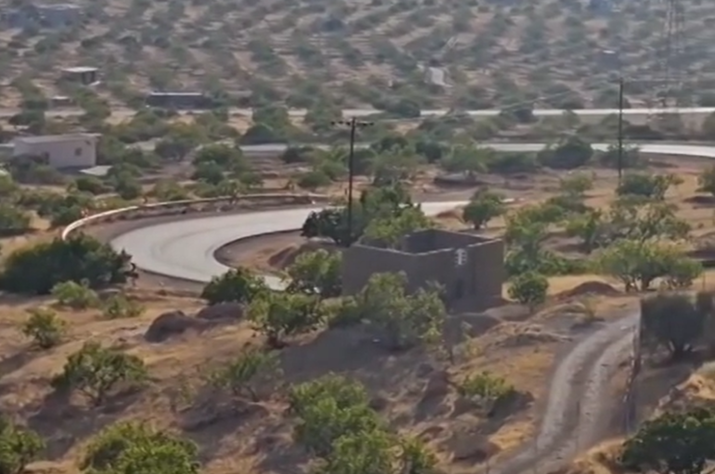 تصاویر بزرگ‌ترین انجیرستان جهان در ایران