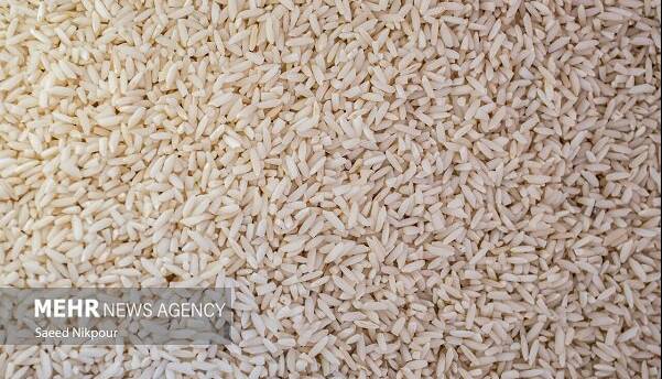 دلالی در بازار برنج پایان ندارد