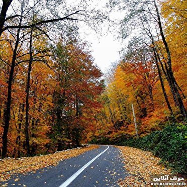 هوای سرد پاییزی مهمان مردم شمال فارس