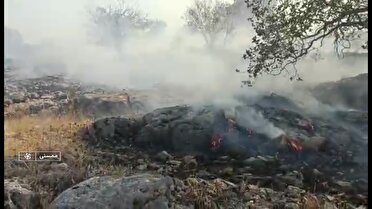 مهار آتش سوزی در کوه خان یک ممسنی