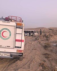 واژگونی مینی بوس در جاده نی ریز به سیرجان با سه مصدوم