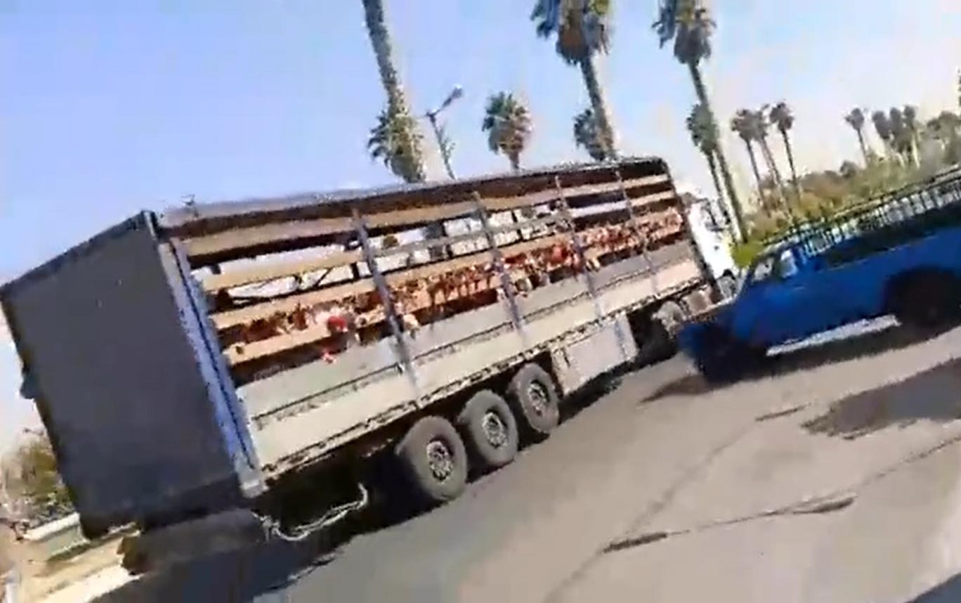 جابه‌جایی دانش‌آموزان در جهرم با کامیون؛ مدرسه متخلف توبیخ شد