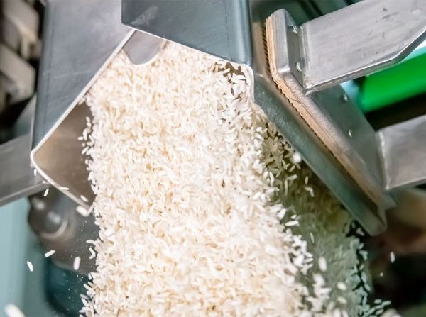 فعالیت هفت واحد صنعتی برنج کوبی در شهرستان بیضا