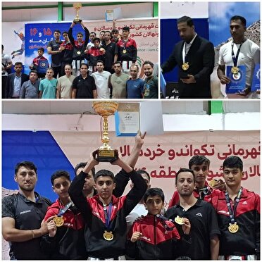 تکواندوکاران فارسی قهرمان رقابت‌های منطقه ۴ کشور