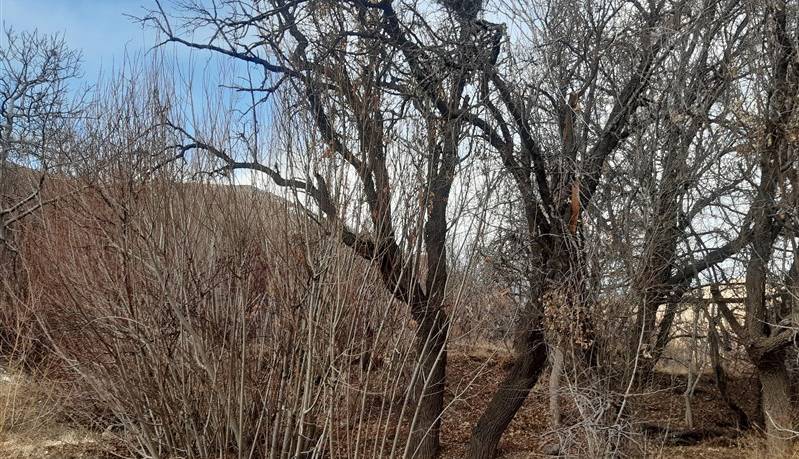 روستایی در ایران که فقط یک خانواده دارد!