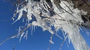 هوای فارس سردتر می‌شود ، از باران خبری نیست