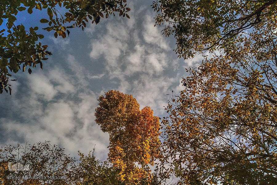 روند کاهشی دما در استان فارس؛ تا ۲ هفته آینده باران نمی‌بارد!