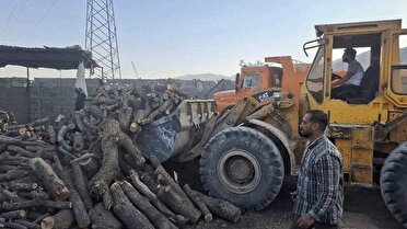 کشف ۲۵ تن هیزم و ۱۱ تن زغال از قاچاقچیان چوب