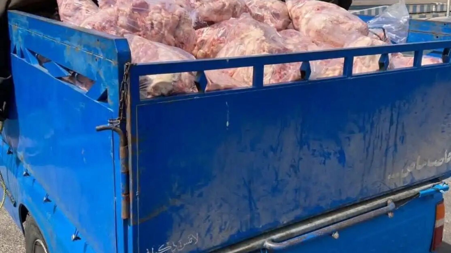 ضایعات غیر بهداشتی مرغ به کارخانه نرسید