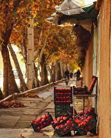 تا دو هفته آینده بارندگی برای فارس پیش‌بینی نمی‌شود