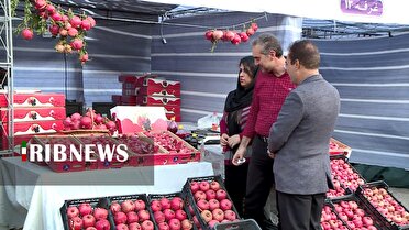 جلوه گری میوه‌های پاییزی در جشنواره انار شیراز