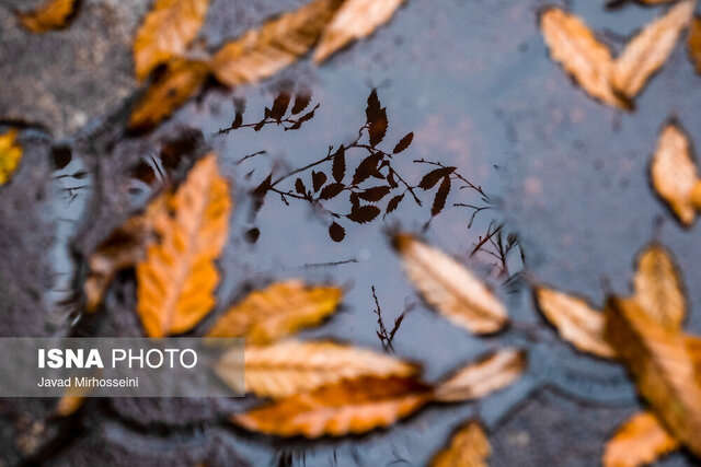 احتمال بارش خفیف و پراکنده در برخی نقاط فارس