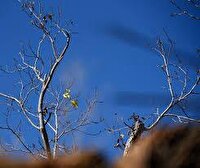 فارس همچنان بی باران