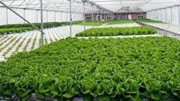 افتتاح شهرک گلخانه‌ای در سروستان