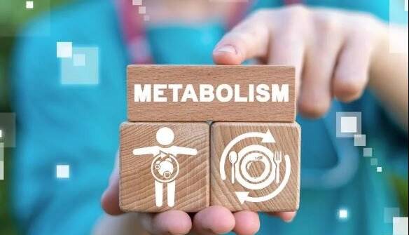 عوامل موثر بر سوخت‌وساز بدن