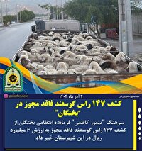 کشف ۱۴۷ راس دام سبک قاچاق در بختگان