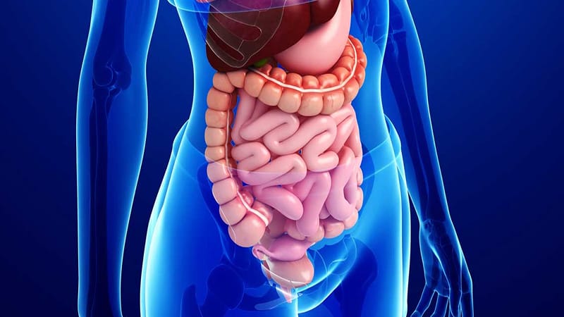 آیا بیماری های دستگاه گوارش می تواند زمینه ژنتیکی داشته باشد؟