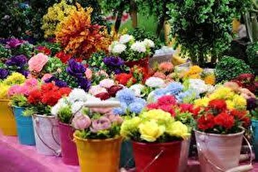 آغاز به کار نمایشگاه تخصصی گل و گیاه از امروز در شیراز