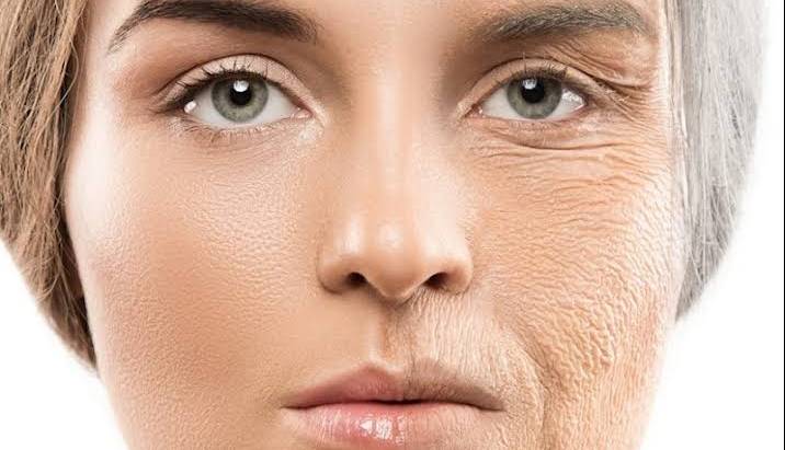 جایگزین‌های کرم‌های لاکچری  در «بشقاب غذا»