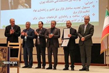 شیراز میزبان همایش بین‌المللی شبکه‌های هوشمند انرژی