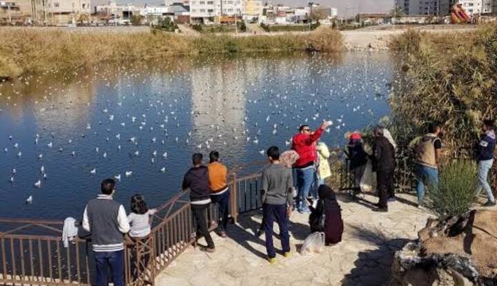 آبگیر پارک فروزان شیراز از خطر سگ ولگرد و موش پاکسازی شد
