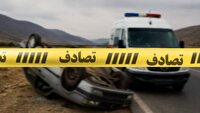 واژگونی سواری در جاده ارسنجان به مرودشت با ۲ مصدوم