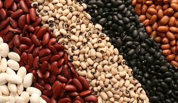 تصمیم جدید دولت برای بازار حبوبات