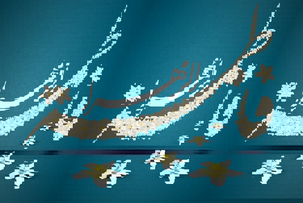 میرشکاری: عفاف و حجاب، مهم‌ترین دستاورد الگوگیری از سیره فاطمی است