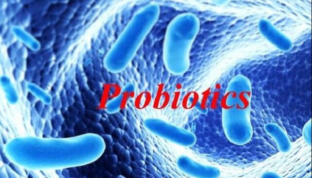 نکاتی درباره پروبیوتیک‌ها