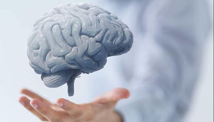 تقویت عملکرد مغز با مصرف این میوه‌ها