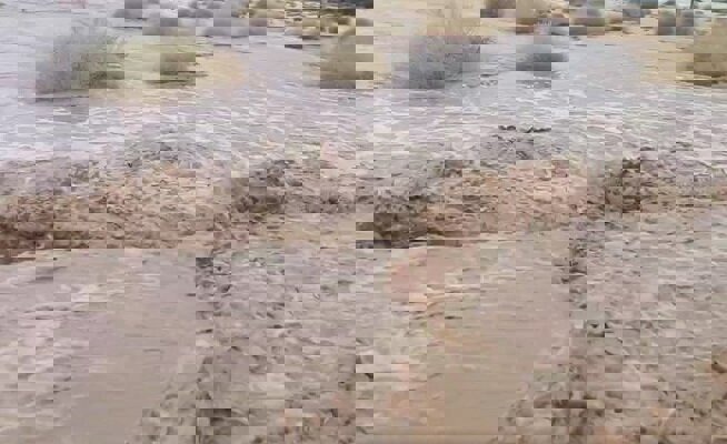 باران شدید رودخانه‌های فصلی لامرد را سیراب کرد