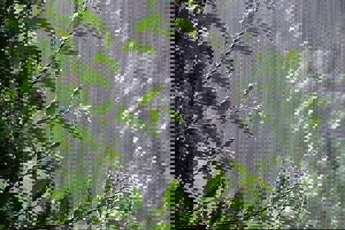 آب‌انبارهای لامرد پُرآب شدند