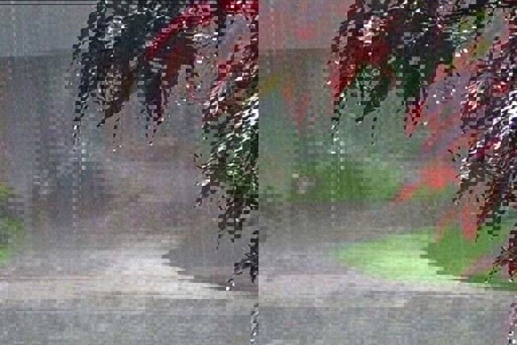 ابراهیمی: مجموع بارندگی‌های سال زراعی فیروزآباد به ۱۷۰.۸ میلیمتر رسید