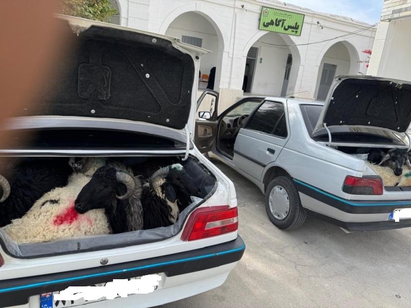 توقیف خودروهای حامل احشام فاقد مجوز در لارستان