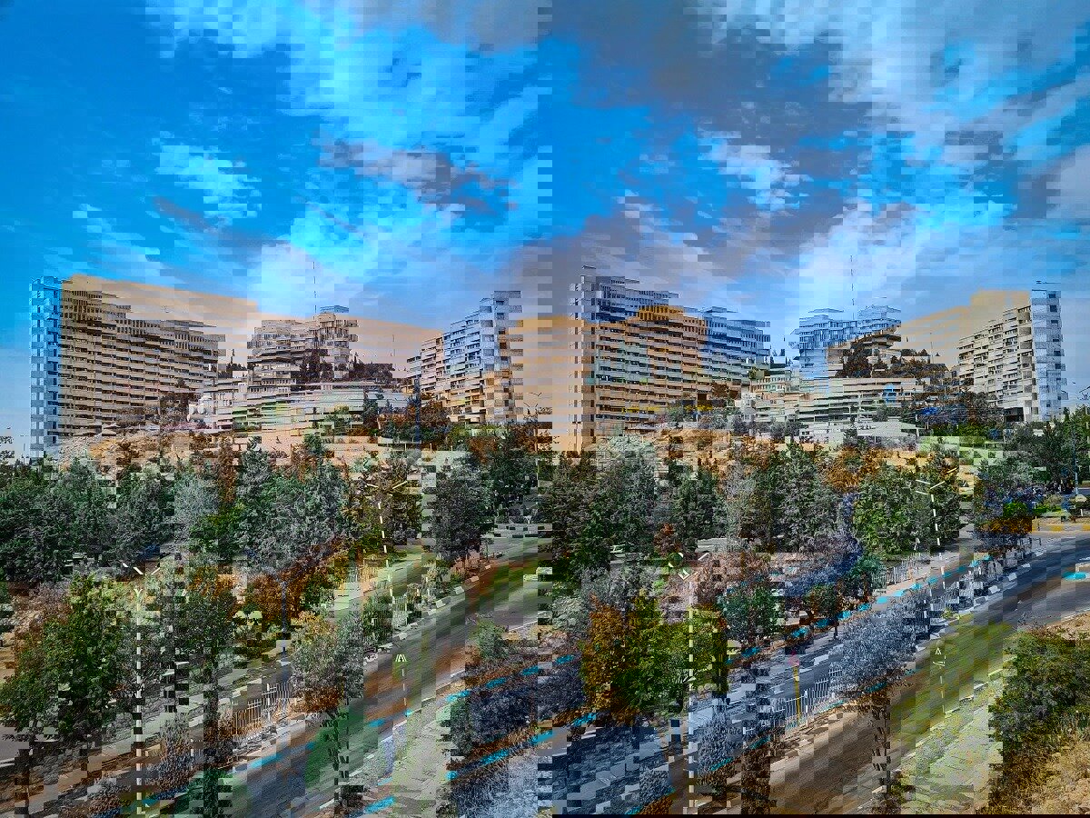 «دانشگاه شیراز» مرکز برتر در توسعه هدایت شغلی کشور شد