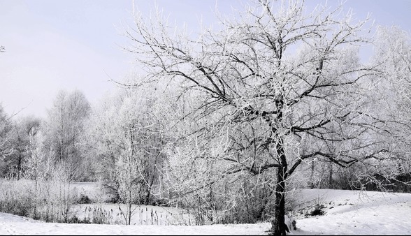 دشت نمدان اقلید سردترین نقطه کشور