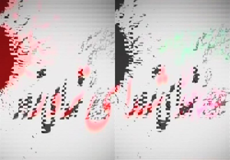 پیش‌نشست همایش بین‌المللی قربانیان ترور در شیراز برگزار شد