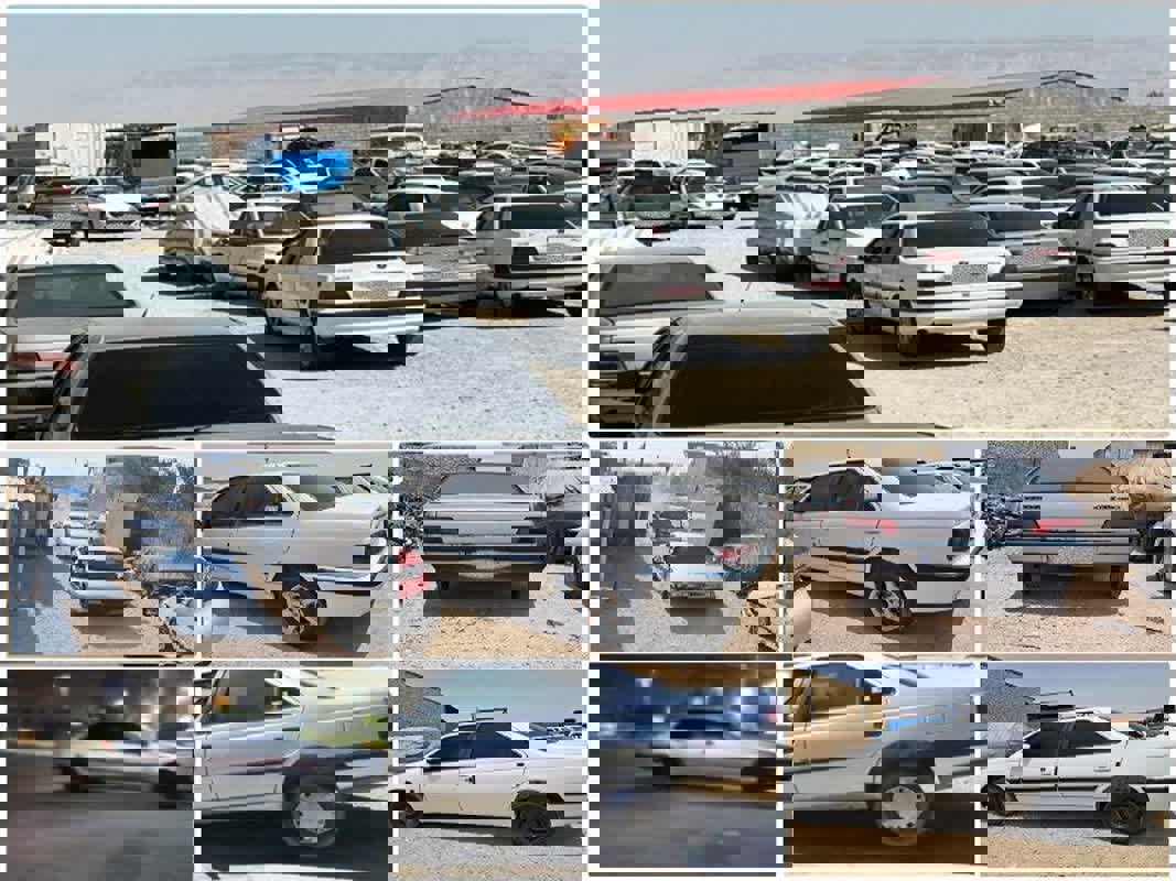 ۳۱ وسیله نقلیه هنجار شکن در لامرد توقیف شد