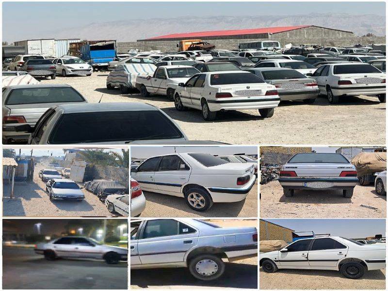 کشف کالا و احشام فاقد مجوز در فیروزآباد