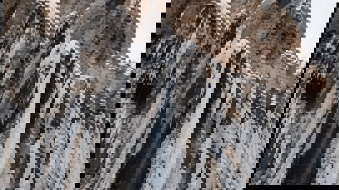 آبشار مارگون یخ زد