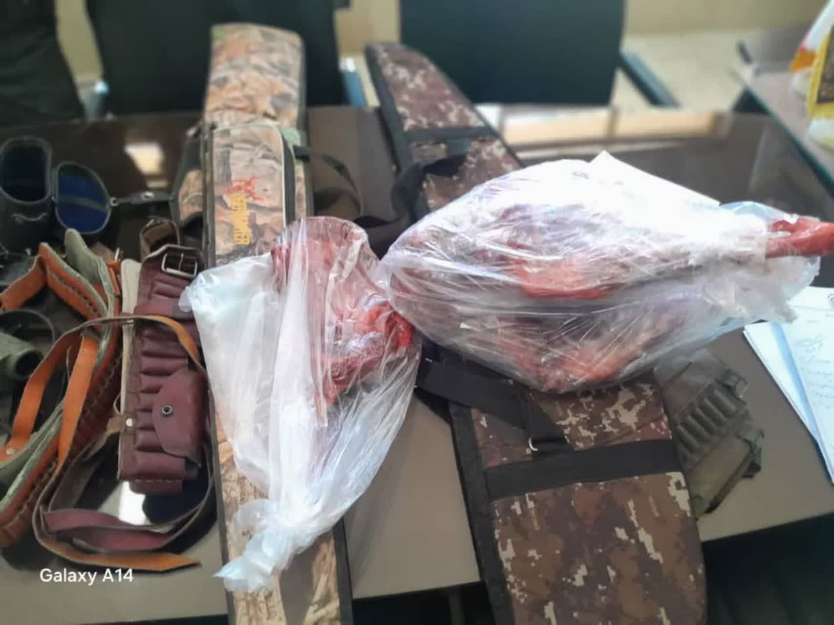 کشف سلاح قاچاق و گونه‌های ارزشمند حیات وحش در اقلید