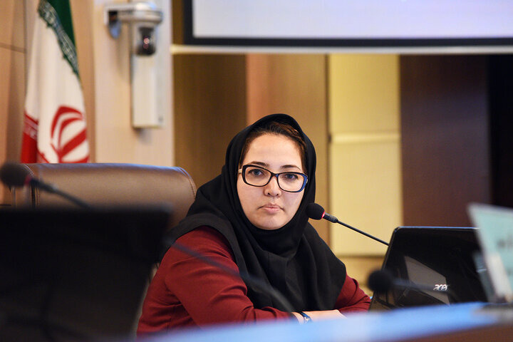 دهقانی: المپیاد ملی آموزش هنر در فارس برپا می‌شود