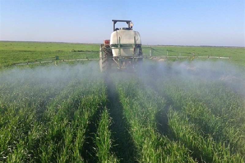 مبارزه با علف‌های هرز در مزارع گندم و جو فارس