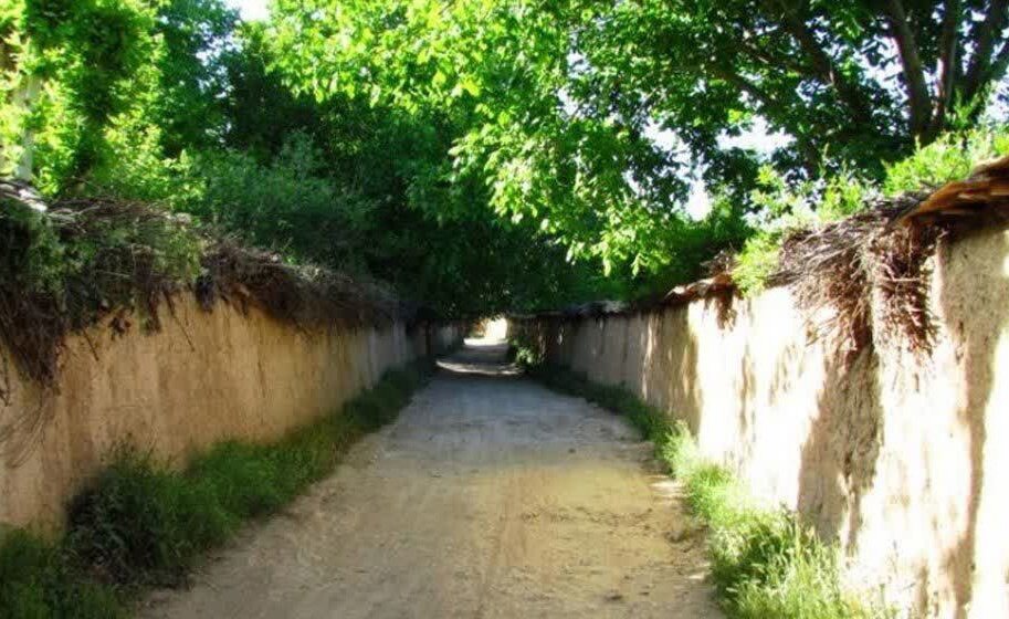 باغات شیراز قربانی تخلفات دانه‌درشت‌ها و ضعف حمایت‌های قانونی/ وجود ۶۰ باغ تاریخی