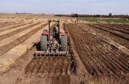 کاشت گندم و جو در ۸ هزار هکتار از زمین های کشاورزی خنج