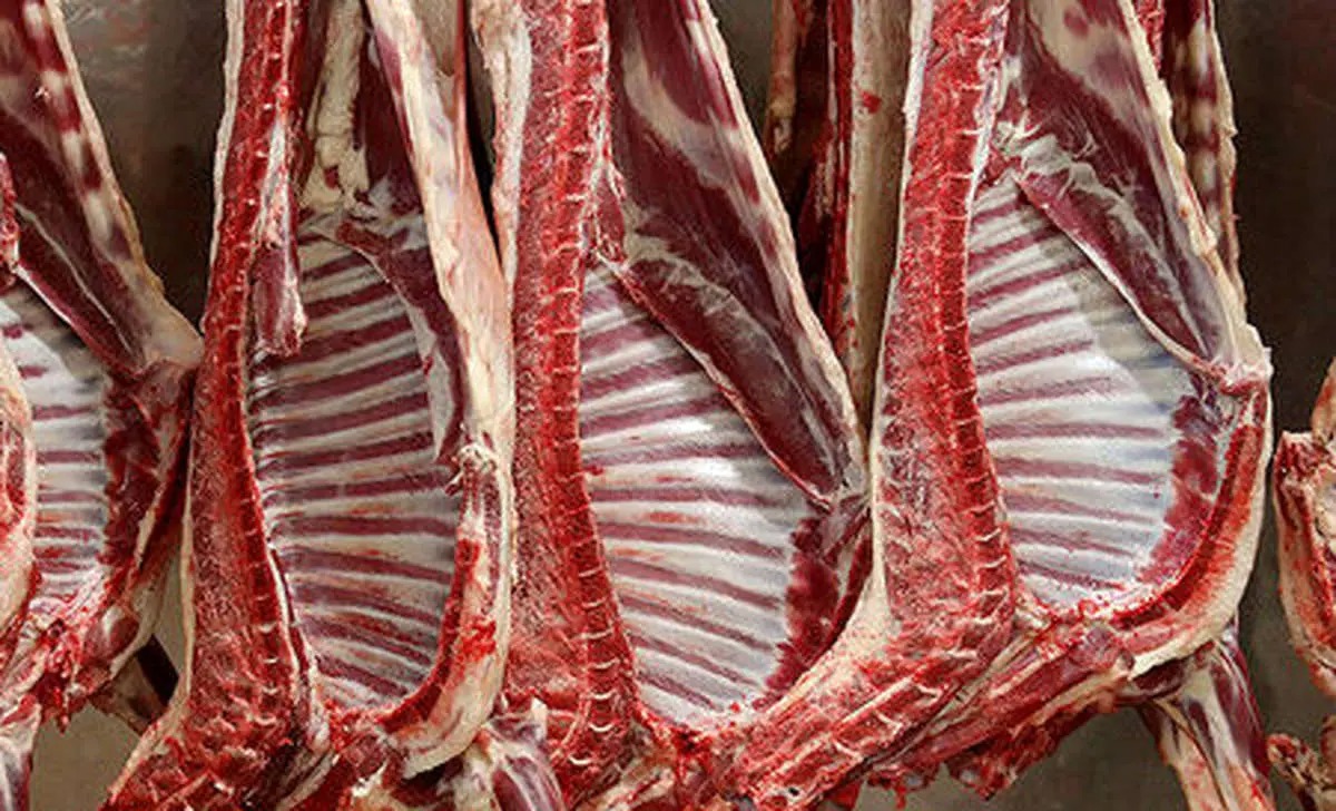 گوشت ۳ دلاری در راه بازار