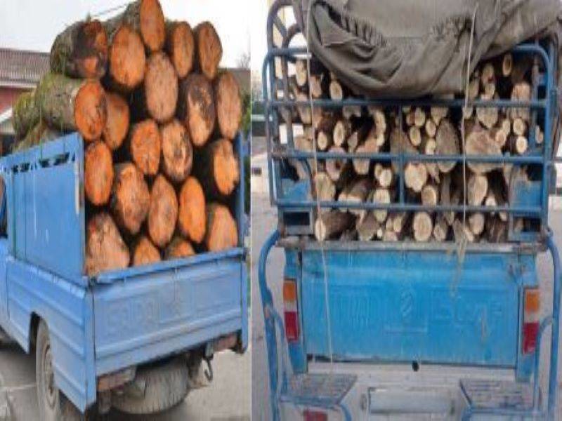 توقیف محموله چوب جنگلی فاقد مجوز در بوانات