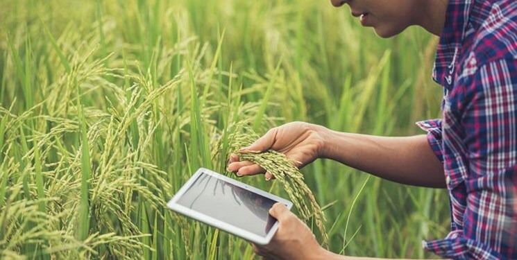 آخرین خبر‌ها از مرکز تحقیقات و آموزش کشاورزی فارس