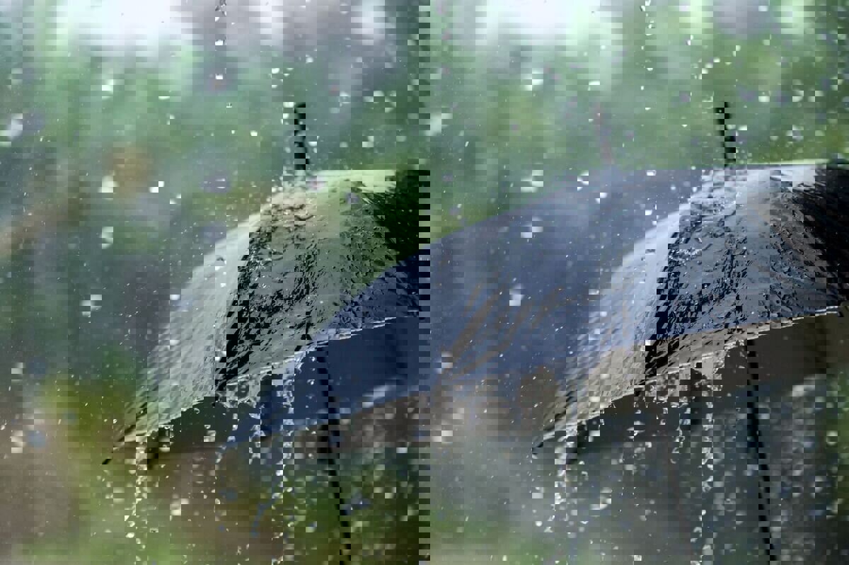 سبزه‌زاری: سامانه بارشی خوزستان فردا قدرت‌نمایی می‌کند